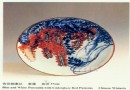 为花鸟传神-汪长序陶瓷美术作品欣赏 95年资料
