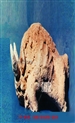 牛脾气 ：1985   材质：匣钵土，周国桢的古风时期（1981——1988）
